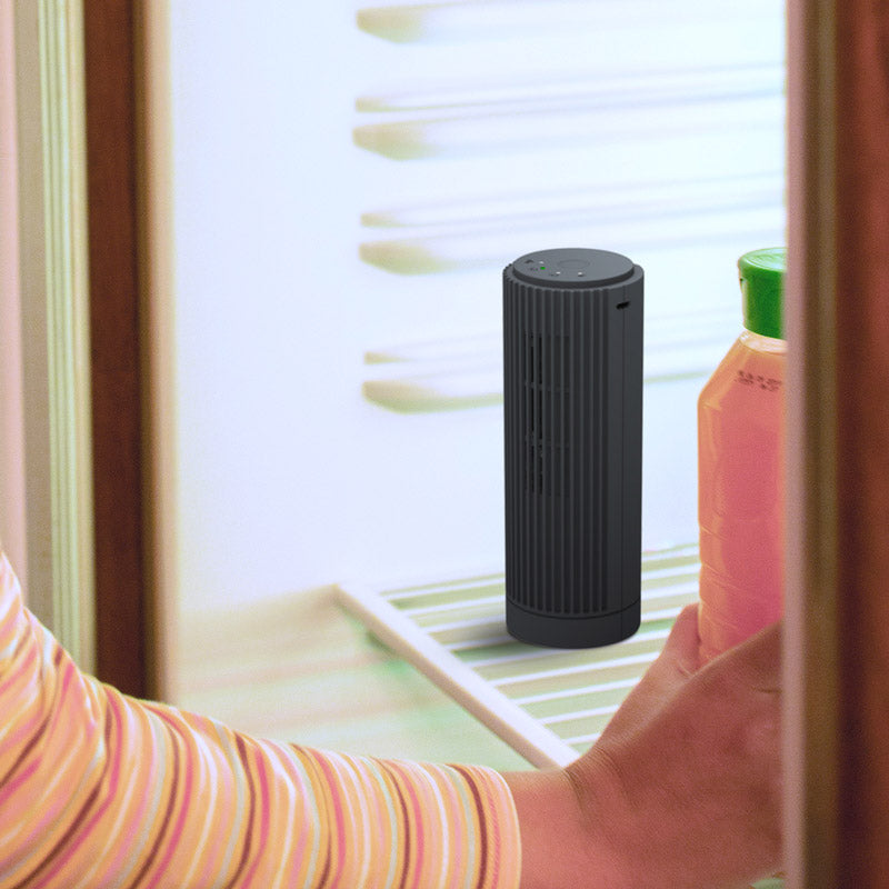 OPHAMAX Dual Mode Mini Ozone Ionic Portable Car Air purifier